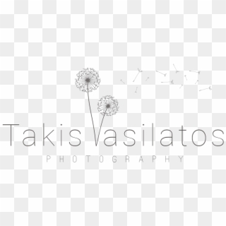 Takis Vasilattos Photography - Dandelion, HD Png Download