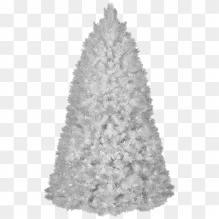 White Christmas Tree Transparent Background, HD Png Download