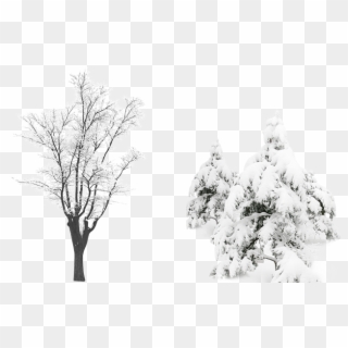 Snow Tree Computer File - Snow, HD Png Download