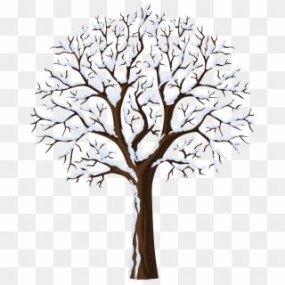 Winter Clip Art Photo And Png Jpg Ⓒ - Bare Tree With Snow Clipart, Transparent Png