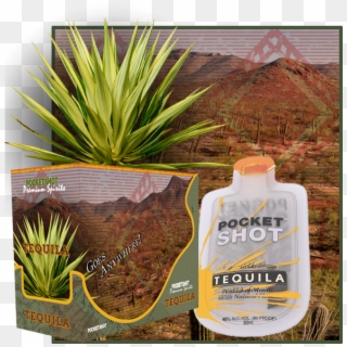Our Product Line - Agave Azul, HD Png Download