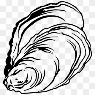 Oyster Drawing At Getdrawings - Oyster Fish Drawing, HD Png Download
