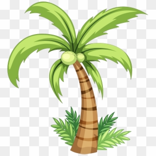 Coconut Drawing Clip Art - Coconut Tree Drawing Easy, HD Png Download