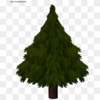 Christmas Tree Drawing Realistic Com Free For Realistic, HD Png Download