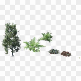 Randomising Procedural Objects-plant Objects, HD Png Download
