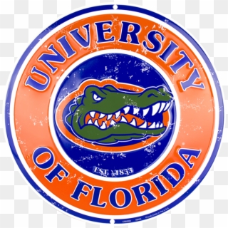 Florida Gators &ndash Hangtime - Florida Gators, HD Png Download