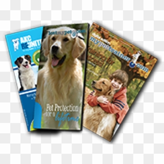 Yearly Microchip Enrollment - Golden Retriever, HD Png Download