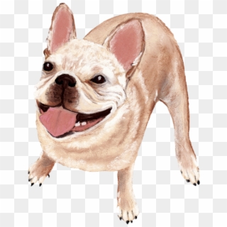 Click And Drag To Re-position The Image, If Desired - French Bulldog, HD Png Download