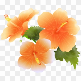 Hibiscus Bloom Frame Flower Border Flowers White Bouque, HD Png Download
