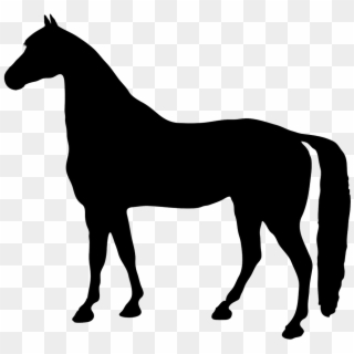1004 X 936 5 - Horse Silhouette No Background, HD Png Download