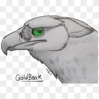 If You Wish To Buy The Griffin, See What Info The Seller - Sketch, HD Png Download