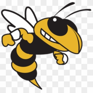 Carver High School Yellow Jackets - Fayetteville Manlius Hornets, HD Png Download