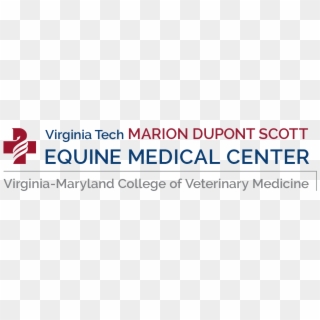 Vt Marion Dupont Scott Equine Medical Center - Liceo Enrique Ballacey Cottereau, HD Png Download