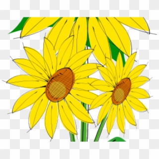 Free Sunflower Clipart - Sunflower Clip Art, HD Png Download