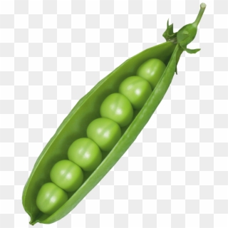Фотки Fruits And Vegetables Images, Vegetable Cartoon, - Pod Pea, HD Png Download