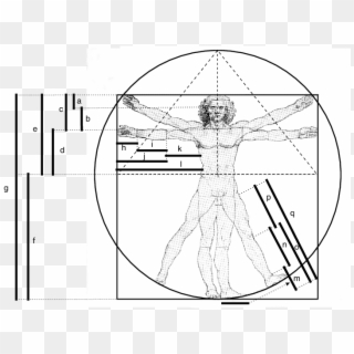 Leonardo Da Vinci's Interpretation Of Vitruvius - Drawing, HD Png Download