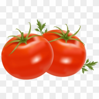Transparent Background Tomatoes Clipart, HD Png Download