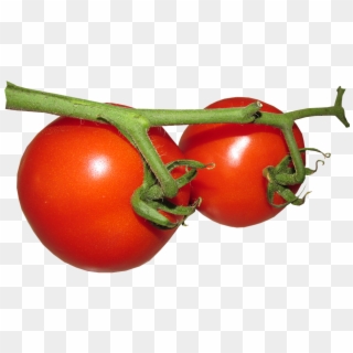 Fresh Tomato Free Png Image, Transparent Png