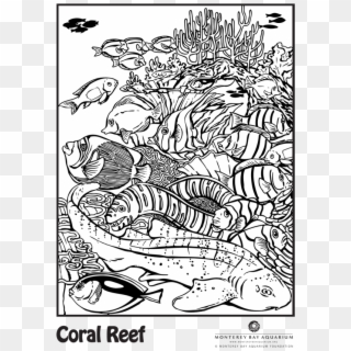 Coralreef - Coloring Book, HD Png Download