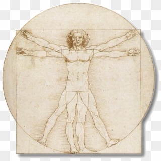 Leonardo Da Vinci Vitruvian Man Full - Leonardo Da Vinci Vitruvian Man Png, Transparent Png