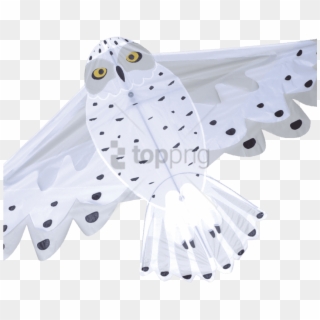 Free Png Snowy Owl Png Image With Transparent Background - Snowy Owl Kite, Png Download