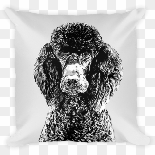 Poodle Duotone Comic White Decorative Pillow - Standard Poodle, HD Png Download