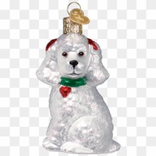 Poodle Dog White Glass Ornament Old World Christmas - Poodle Ornament Christmas, HD Png Download