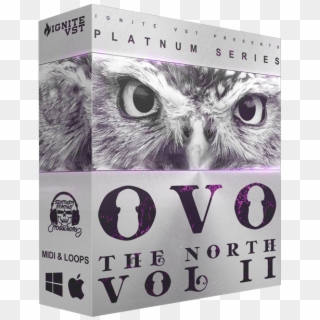 Drake And Future Inspired Loops - Great Horned Owl, HD Png Download