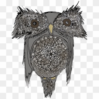 Owl Owala Brown Bird - Eastern Screech Owl, HD Png Download