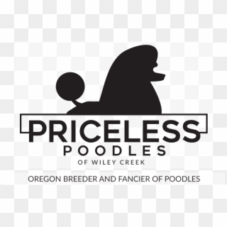 Exceptional Akc And Ukc Standard Poodles Oregon Poodle - Silhouette, HD Png Download