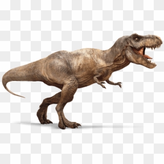 More Like This Guy, In Other Words - T Rex, HD Png Download