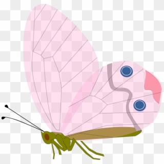 Cycle Of A Butterfly Pink, HD Png Download