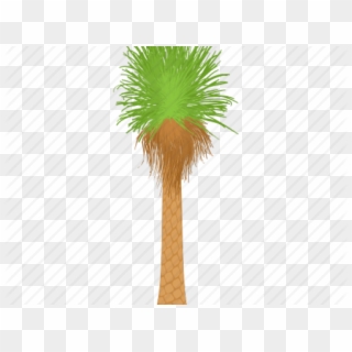 Palm Trees Cartoon - Grass, HD Png Download