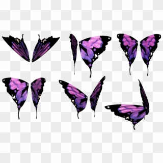Butterfly Wings Png - Butterfly, Transparent Png