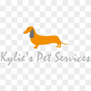 Kylie's Pet Services - Dachshund, HD Png Download