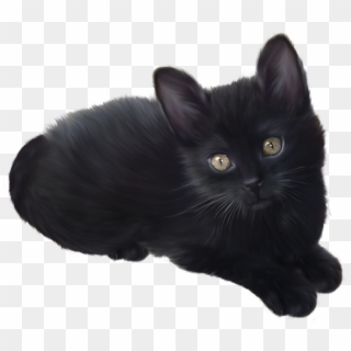 Black Kitten Png Clipart - Black Kitten Clip Art, Transparent Png
