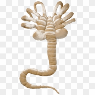 Alien Png Transparent For Free Download Page 2 Pngfind - alien facehugger roblox