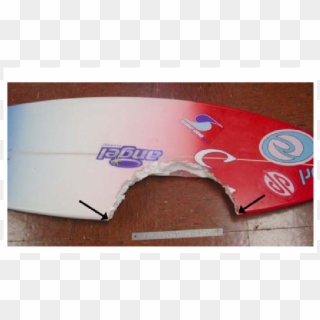 Bite Damage To A Surfboard Produced By A Large Tiger - Surfboards Bitten By Sharks, HD Png Download