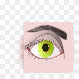 Female Eye And - Ojo Clipart, HD Png Download