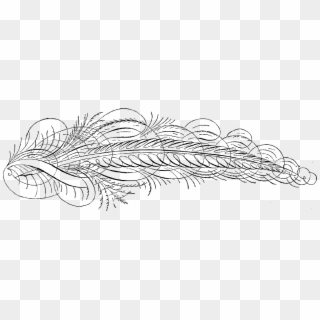 Antique Calligraphy Feather Drawing Download Png - Line Art, Transparent Png