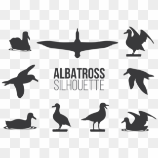 Albatros Vector, HD Png Download