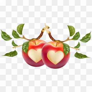 Heart-shaped Apple Vector 7389*3756 Transprent Png - Hd Fruits Pic Heart Shape, Transparent Png