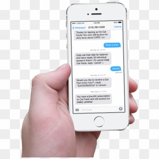 Hand Holding Iphone With Scrolling Cat Facts Text Messages - Transparent Background Iphone 6 Png, Png Download