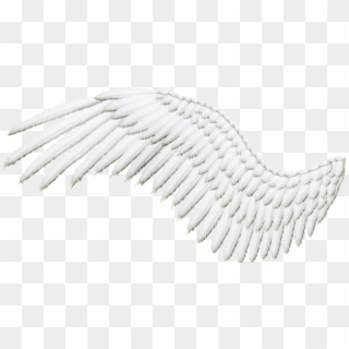 1024 X 530 3 - Wing White Png, Transparent Png