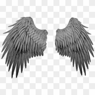 Angel Wings Png Transparent For Free Download Pngfind - colorful angel wings roblox