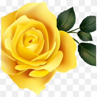 Yellow Rose Clipart 15 Rose Clipart Yellow Rose For - Rose Yellow Png, Transparent Png