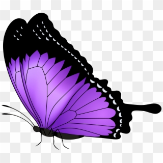 Purple Butterfly Transparent Png Clip Art Image, Png Download