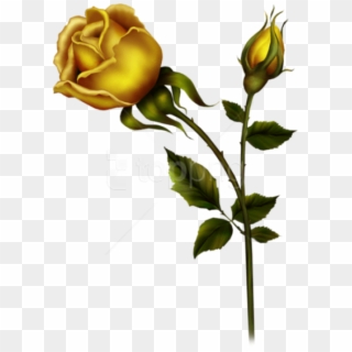 Free Png Download Yellow Rose With Bud Png Images Background - Clip Art Yellow Rose Png, Transparent Png