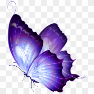 Download Butterfly Png Transparent For Free Download Pngfind