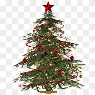 Transparent Christmas Tree Png, Png Download